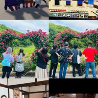 ✨️別府、大分で遊ぼ✨️カラオケ🎤ビリヤード🎱ボードゲーム🃏Switch🎮遊び好き20代～40代✨️