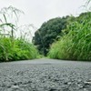 地理系集めるぞ！の会( ᐙ )