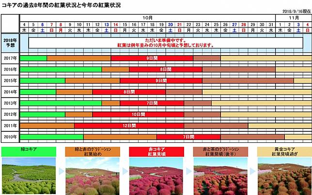 毛茸茸秋紅限定 3萬2千顆超唯美火紅掃帚草花海限定必看 18茨城國營常陸海濱公園紅葉情報 Popdaily 波波黛莉的異想世界