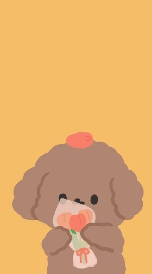 โรงเรียนหมีน้อย 🐻