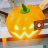 フォトナブレインロット交換場所