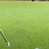 東京高爾夫團 Tokyo Golf Club