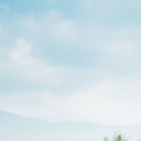 菜轎～岡山到店自取