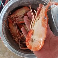 รถบ้าน ลุงอาร์ม
