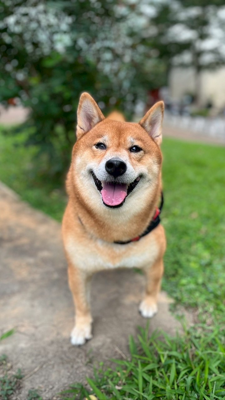 鉑克棶-查克驗屋交流群