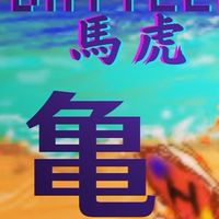 亀のはげたこ部屋