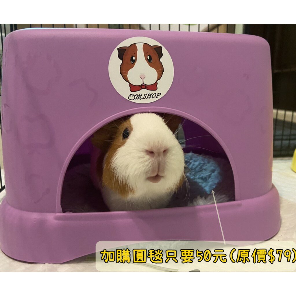 現貨送貼紙❤ 糖果色**無底 雙洞口 小凳子 天竺鼠侏儒兔刺蝟倉鼠龍貓皆可使用