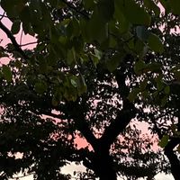暇な人の雑談部屋