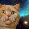 【メンバー募集中】【マイクラ】社不鯖界隈
