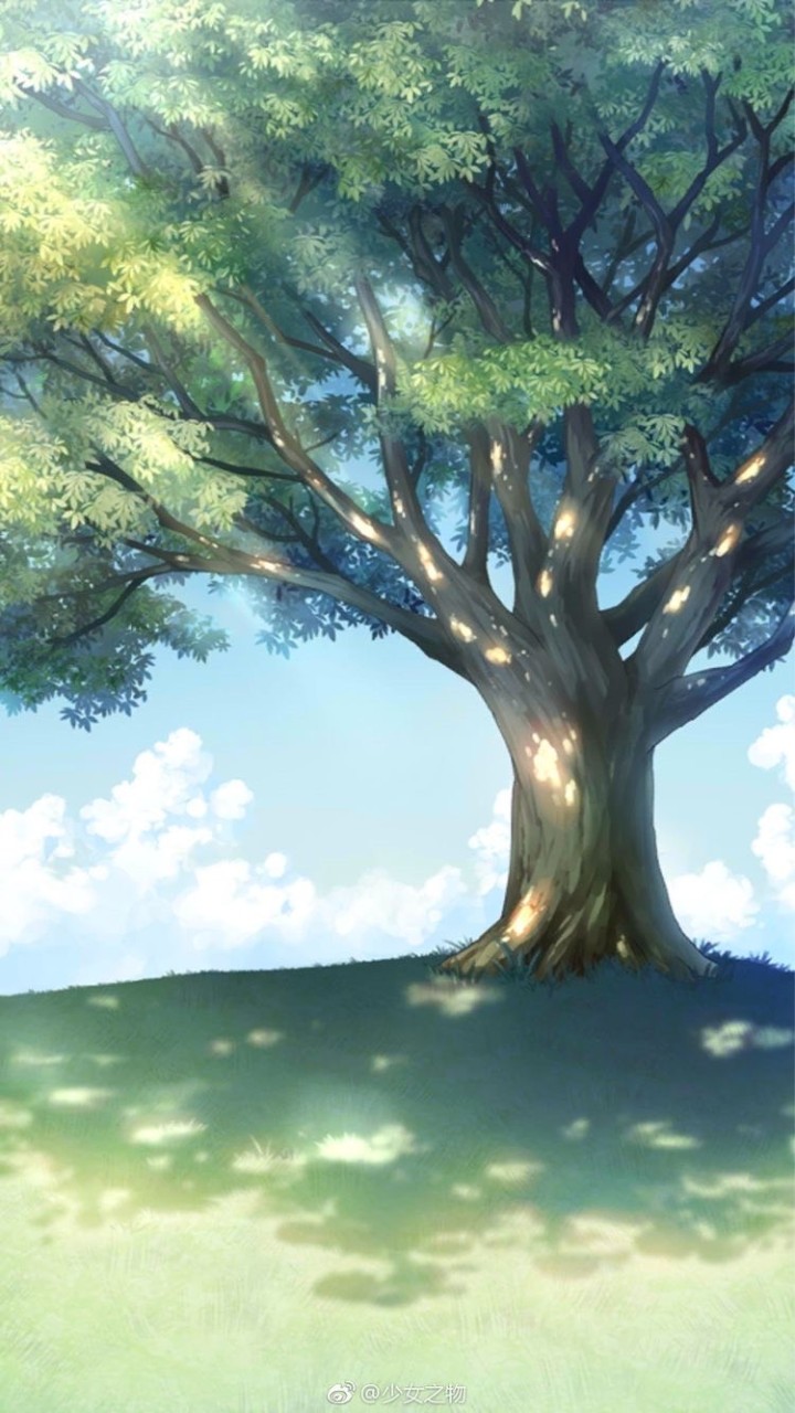 💚 SʟᴇᴇᴘɪɴɢFᴏʀᴇsᴛ 🌲