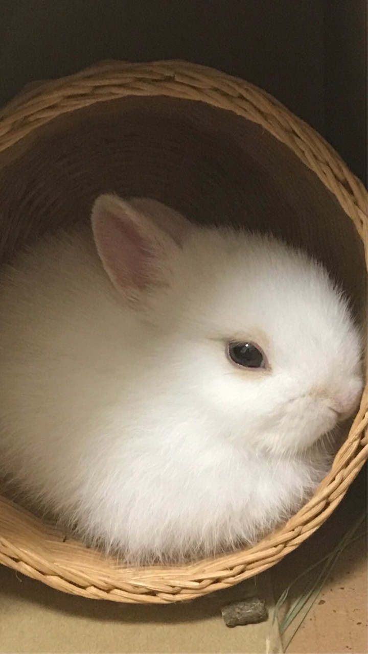 ゆきかい守る会のオープンチャット