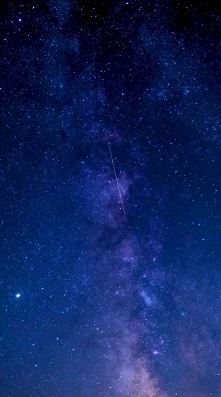 叛逆の夜明け前 ⌒ 折也/マフィアパロ