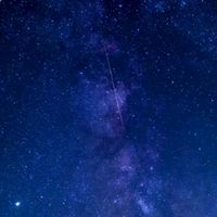 叛逆の夜明け前 ⌒ 折也/マフィアパロ