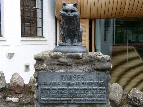 10 Monumen dan Museum untuk Para Legenda Kucing  SINDOnews  LINE 