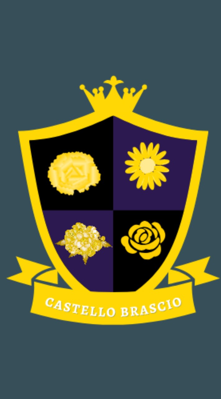🏵️{Castell Brascio}🏵️
