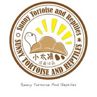 小太陽陸龜競標區 目前競標中