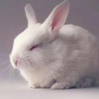 處閨、處西批或想聊天、唱歌、耍憨的都可來唄૮ ・ﻌ・ა
