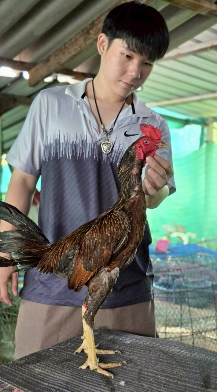 พ.พายุฟาร์ม