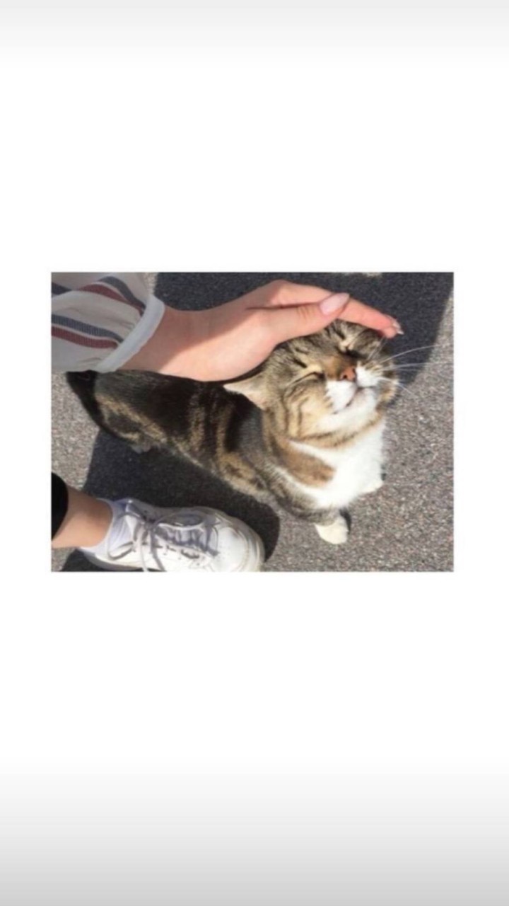 星月學姐