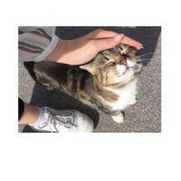 星月學姐