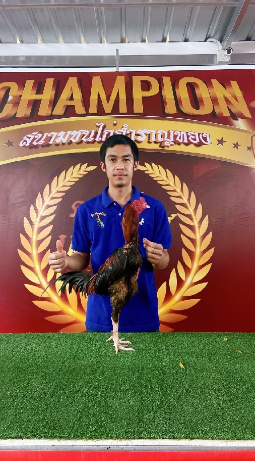 ซุ้ม ท้าวคำไหล