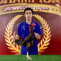 ซุ้ม ท้าวคำไหล