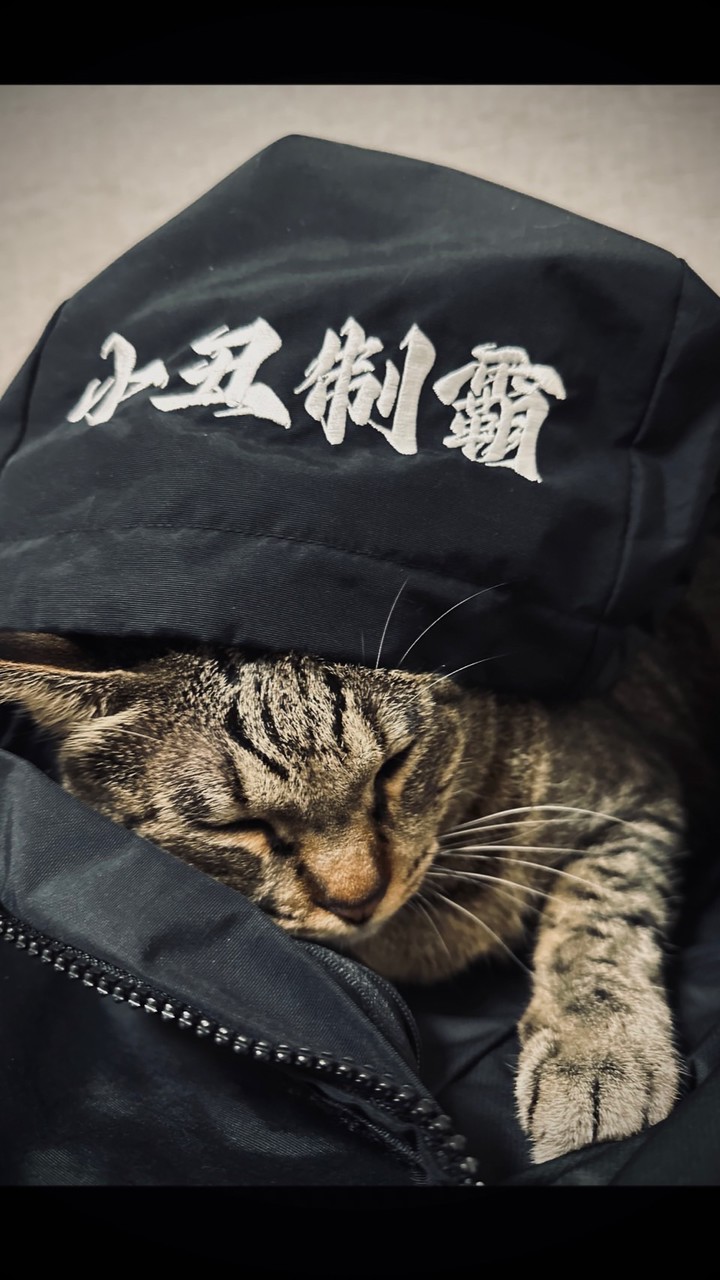 莖鮑婬