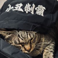 莖鮑婬
