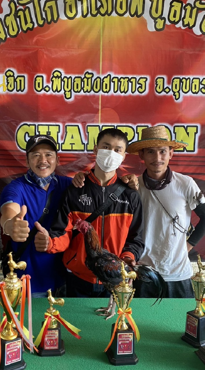 ซุ้มนพรัตน์ฟร์ามราชาป่าก๋อย