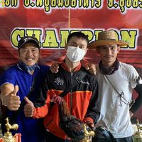 ซุ้มนพรัตน์ฟร์ามราชาป่าก๋อย