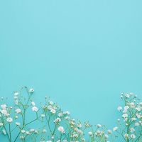 🍓🍓🍓女性の日常の雑談部屋💖趣味のお話など✨