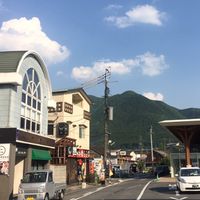社畜人生
