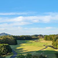 FineGOLF29🏌️