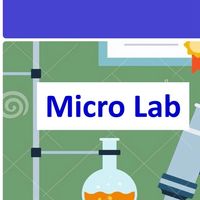 S1-69-Micro biologyLab