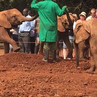 【運営】8/20Africa Action Day