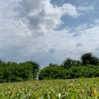 【⛳️福岡ゴルフ向上委員会⛳️】