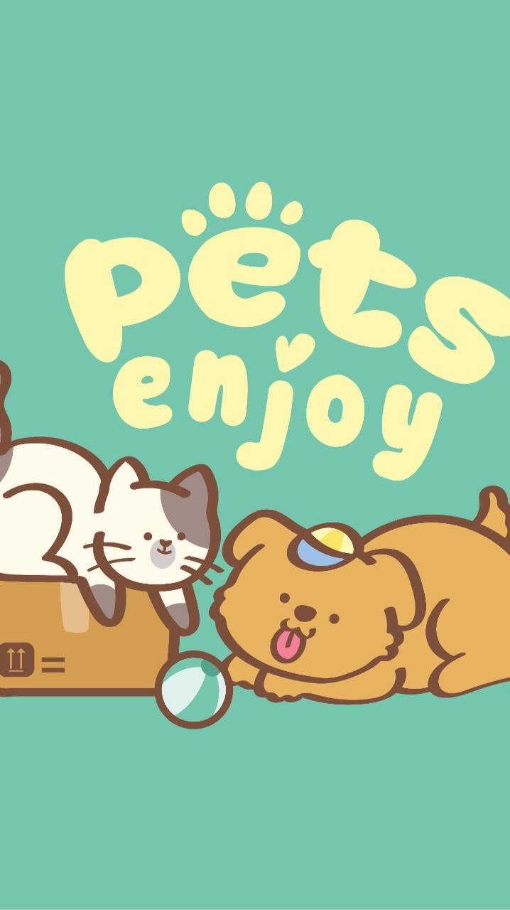 พรีออเดอร์ของเล่น สินค้าน้องแมวน้องหมา By Pets Enjo