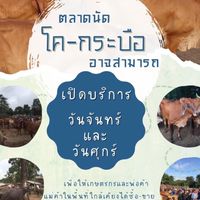 ตลาดนัดโคกระบือ/ตลาดนัดชุมชนบ้านหงส์ทอง🐄