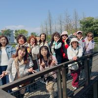 玫瑰兵團