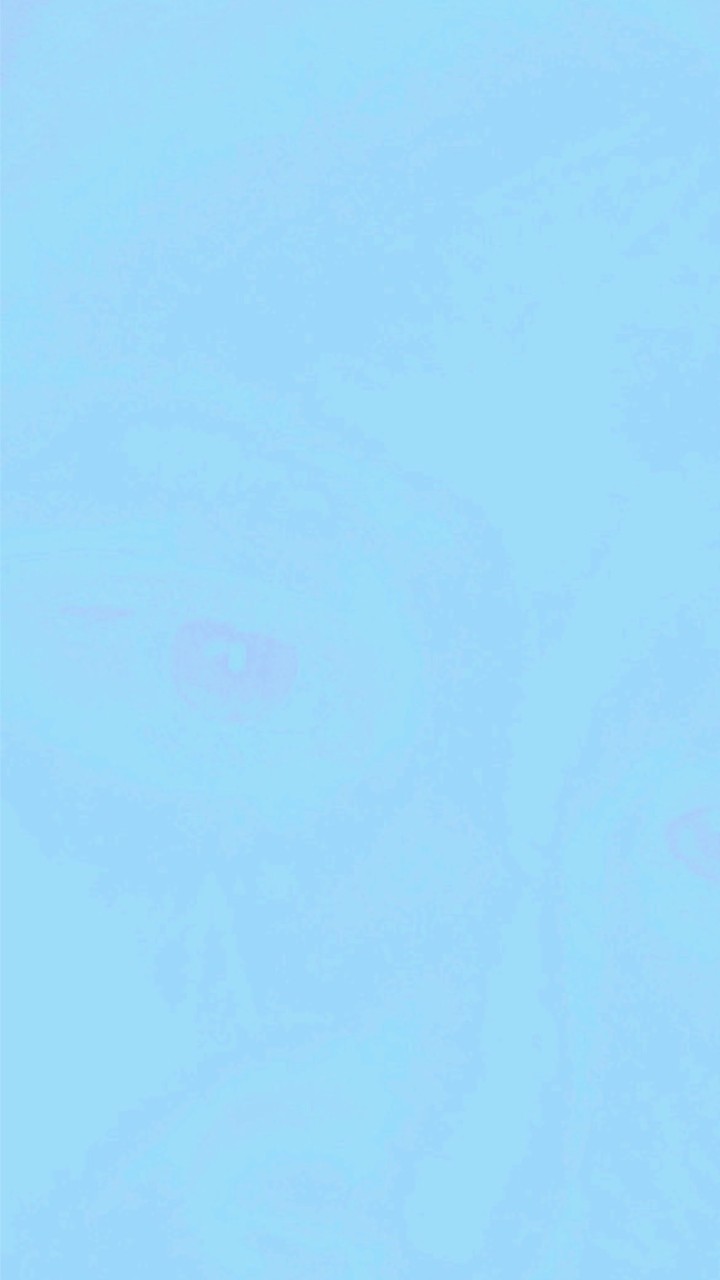 田丹社