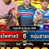 หนุ่มสายเหนือ พะเยา