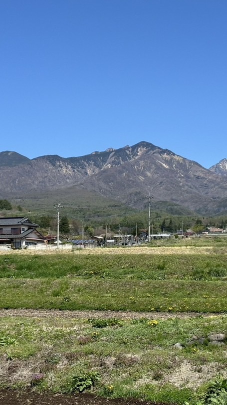 IKIGAIパートナー