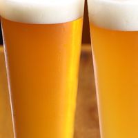 愛媛県松山市　20〜30代限定　飲み酒家（のみしゅけ）