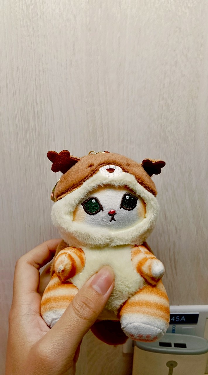 鮭魚壽司只要🖐️塊