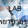 แลป รพช.น่าน