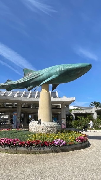 沖繩五日水族館海豚希臘風～安安領隊