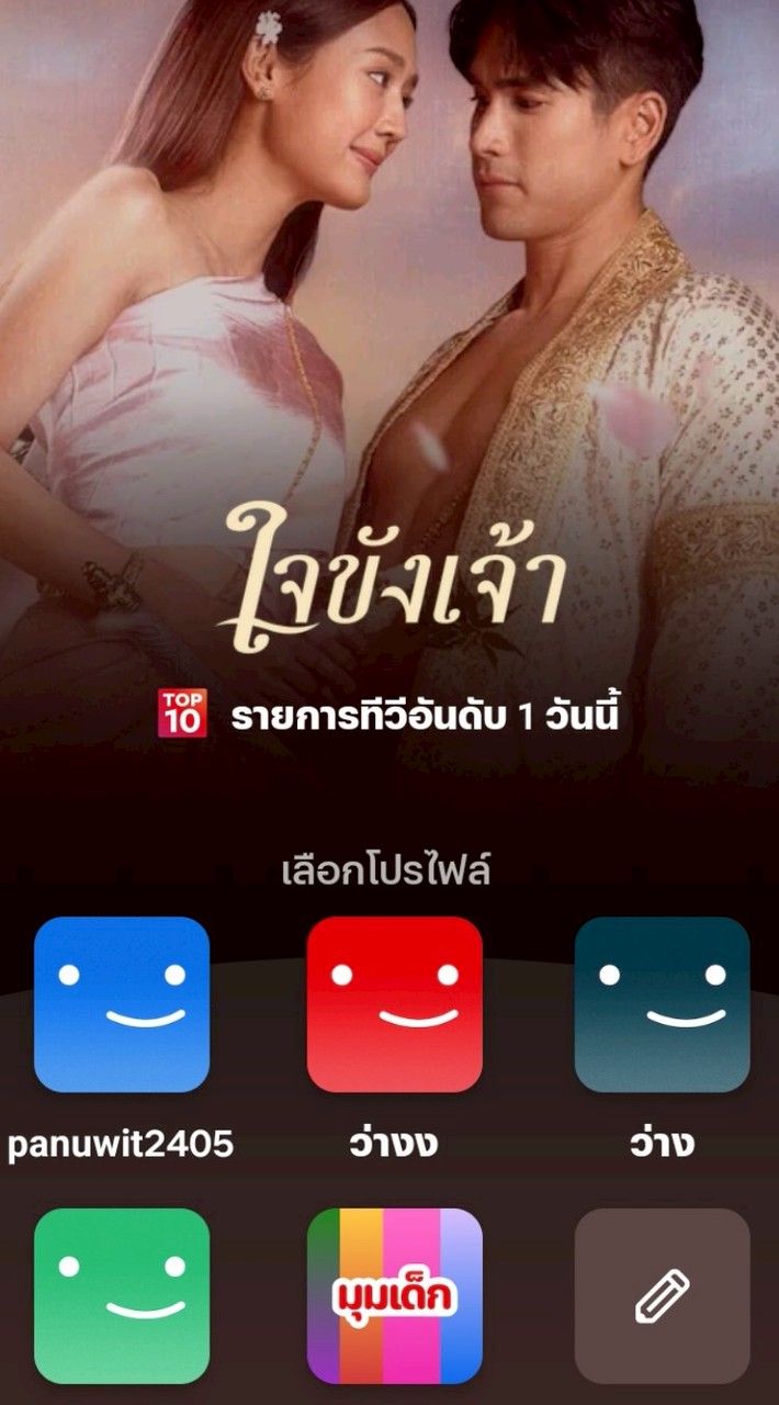 ปล่อยเช่า Netfix