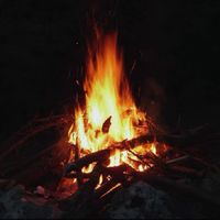🔥野営隊🔥