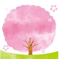 【石川】お花見＆開花情報🌸写真＆スポット/ 桜 さくら 梅 ウメ 春