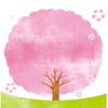 【石川】お花見＆開花情報🌸写真＆スポット/ 桜 さくら 梅 ウメ 春